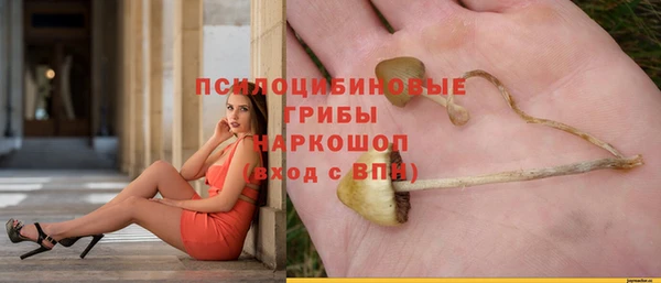 стафф Арсеньев