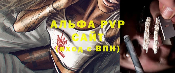 стафф Арсеньев