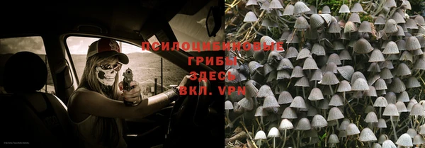 стафф Арсеньев