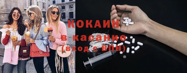 стафф Арсеньев