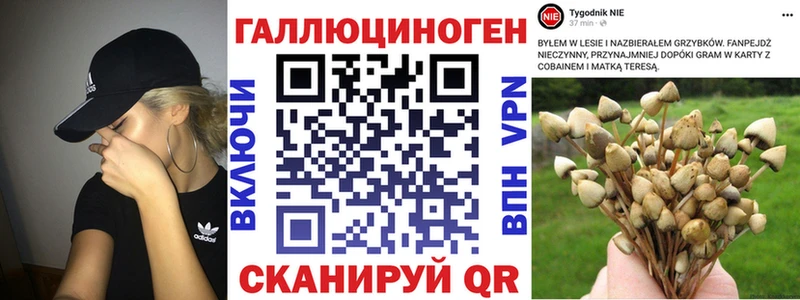 Псилоцибиновые грибы Psilocybine cubensis  кракен ТОР  Мурманск  магазин продажи наркотиков 