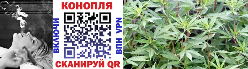 Бошки марихуана гибрид  Мурманск 